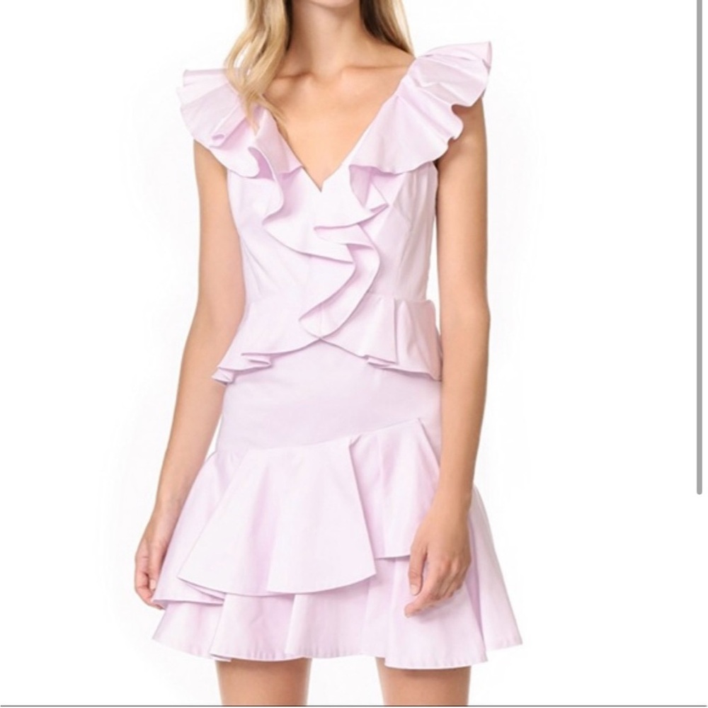 NWT Rebecca Taylor | Dresses  Ruffled Lavender Dress